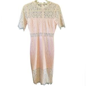 Just Me Dress Womens Size Small Feminine Flirty Pink Lace Party Sheath Romantic